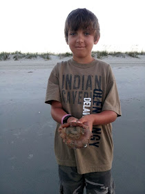 Focus on Life: Week 32 ~ From where I stand: Myrtle Beach, SC vacation... sunrise at the ocean with a jelly fish! :: All Pretty Things