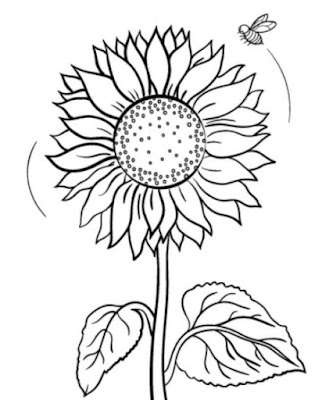 Gambar Sketsa Bunga Matahari dan Lebah