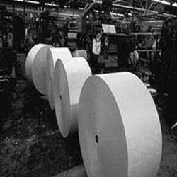 Paper Industry Insights