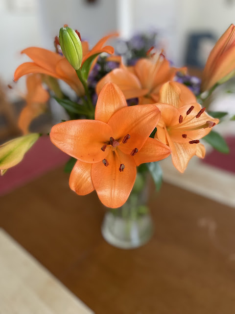 A close up of a single orange lily.