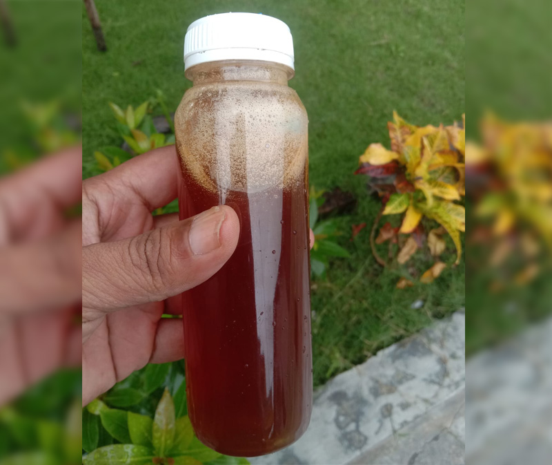 Madu hutan liar Apis Dorsata nektar manggar zidbee honey