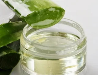 22 Manfaat Lidah Buaya Untuk Kesehatan & Kecantikan 22 Manfaat Lidah Buaya Untuk Kesehatan & Kecantikan