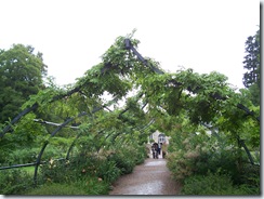 2011.07.25-023 jardin des apprentis