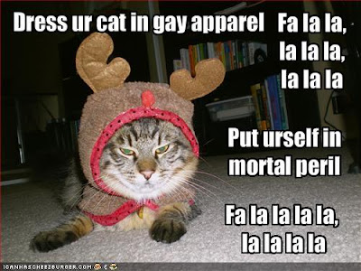 Christmas LOLcat,Lolcat Lolcatz Lowlcaz desktop wallpaper