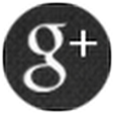 Google+ icon