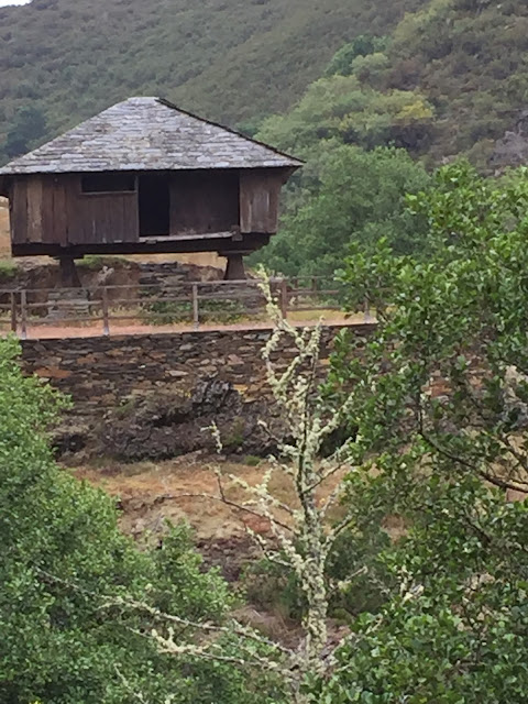 Spain, Marronda forest and the Eo River   by E.V.Pita (2015)  http://evpita.blogspot.com/2015/06/spain-marronda-forest-and-eo-river.html   Fraga de Marronda - río Eo (Baleira, Lugo)  por E.V.Pita (2015)