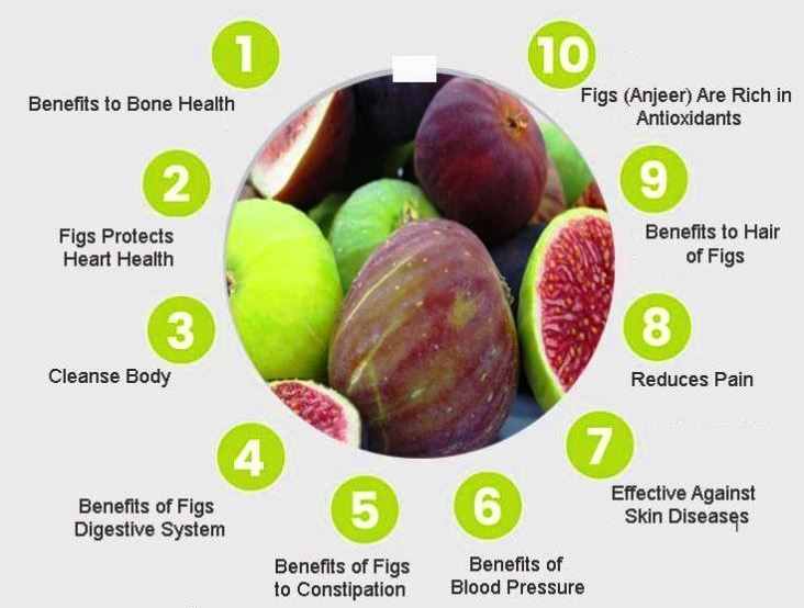 Benefits of Fig Milk: