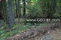 Puszcza Nalibocka. Pits remaining from partisan camp in the location of Jerusalem in the forest