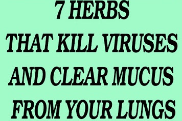 7 HERBS THAT KILL VIRUSES AND CLEAR MUCUS FROM YOUR LUNGS