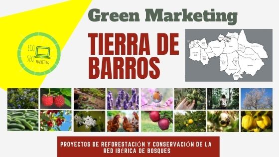 Green Marketing Tierra Barros