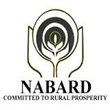 NABARD 2019 Grade A, Grade B Result Out