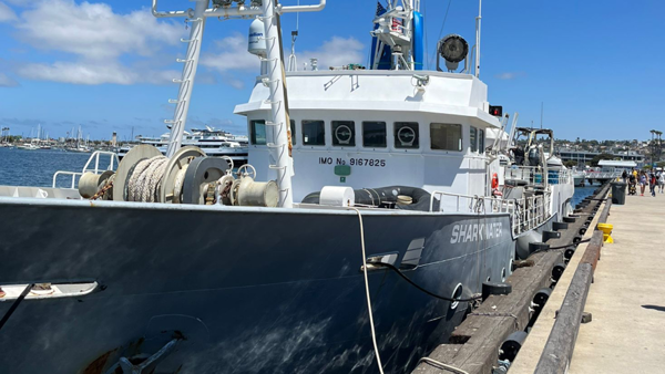 Navio Histórico se junta à Luta do Sea Shepherd