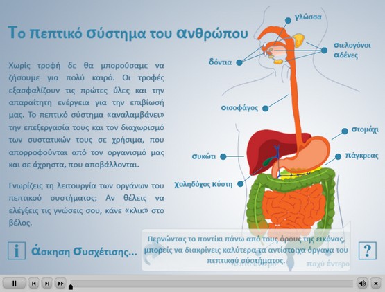 http://photodentro.edu.gr/photodentro/digestive_system_p_pidx0016072/Kef_4_digestive_system_700_500.swf