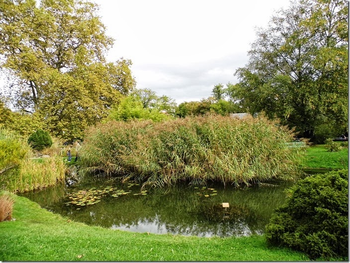 Jardin Botanique de Genève