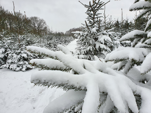 Winter in het Gooi - Huizen - Naarden - Westereng