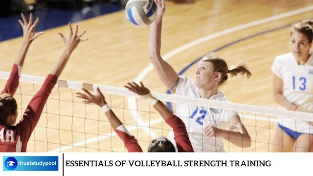 Essentials of Volleyball Strength Training