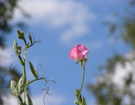DSCN8401
