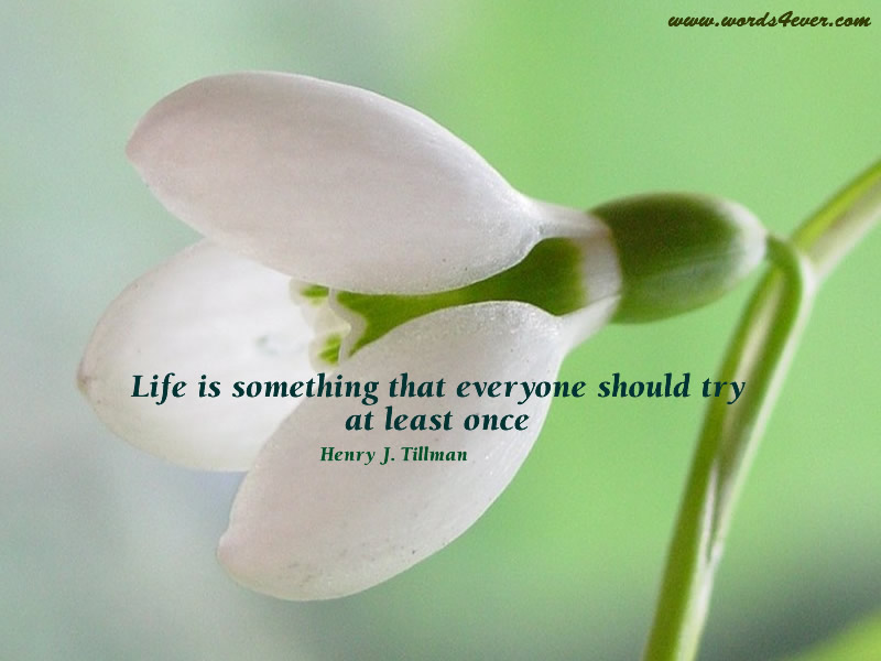 quotes on life wallpapers. quotes on life wallpapers.