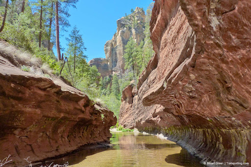 West Fork Oak Creek