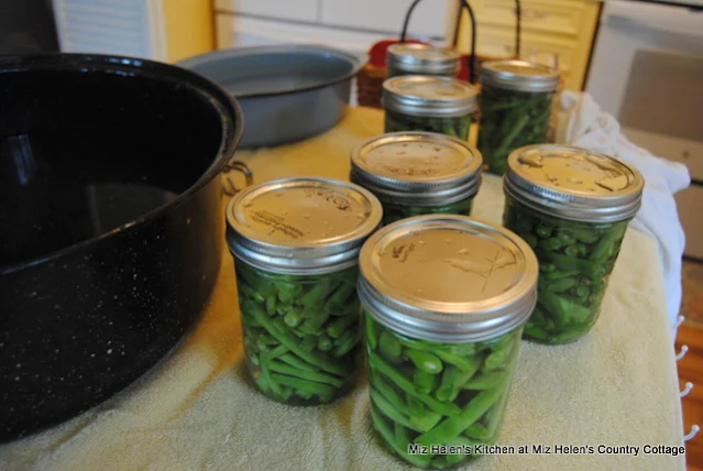 Canning Green Beans: From Garden To Canner at Miz Helen's Country Cottage