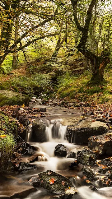 Autumn, Nature, Stream, River, Trees, Rocks