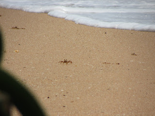 Induruwa Sri Lanka 