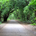 Thursday Challenge - TRAIL (Trail, paths, roads, sidewalks, streets,...)