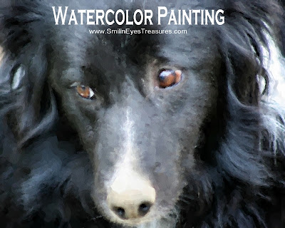 Border Collie Face Watercolor Photo Painting