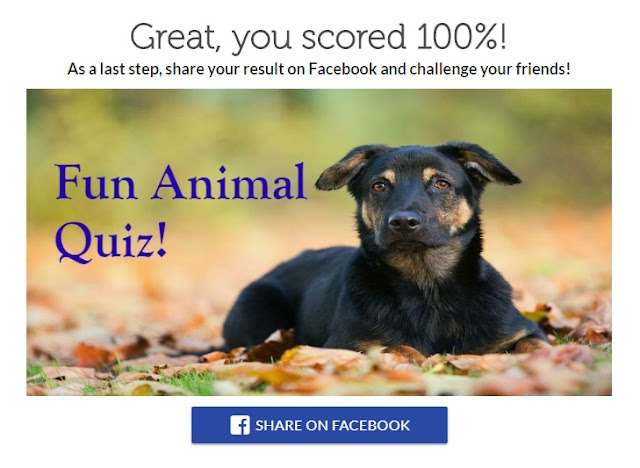 Fun Animal Quiz
