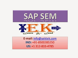 SAP SEM Training