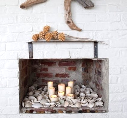 shell display in fireplace