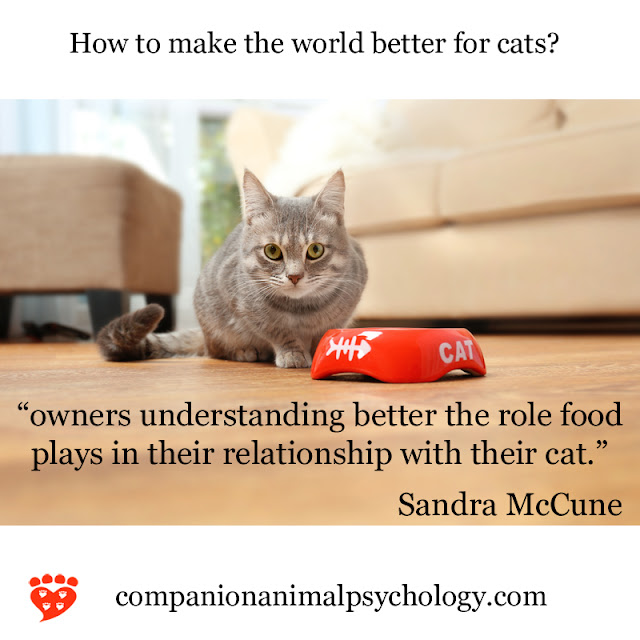 A cat by its food bowl - understand the role of food for a better relationship with your cat
