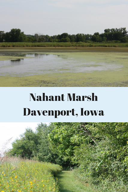 Exploring Nahant Marsh in the Quad Cities