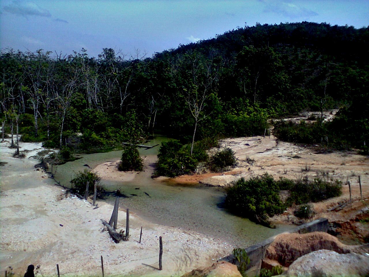 Sungai Hijau di Bangkinang: Keindahan Alam yang Menakjubkan
