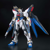 Bandai MG 1/100 Strike Freedom Gundam Full Burst Mode English Manual and Color Guide