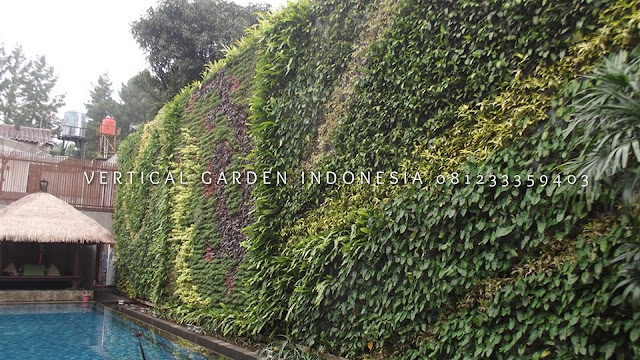 VERTICAL GARDEN INDONESIA SPESIALIS JASA PEMBUATAN VERTICAL GARDEN DI JEPARA JAWA TENGAH DAN DI SELURUH WILAYAH JAWA TENGAH DENGAN TENAGA YANG PROFESIONAL DAN DAPAT DI PERCAYA YANG SELALU MENGUTAMAKAN SEBUAH MUTU DAN KUALITAS PEMASANGAN VERTICAL GARDEN/TAMAN DINDING, JASA TUKANG TAMAN VERTICAL JEPARA JAWA TENGAH, JASA VERTICAL GARDEN JEPARA JAWA TENGAH