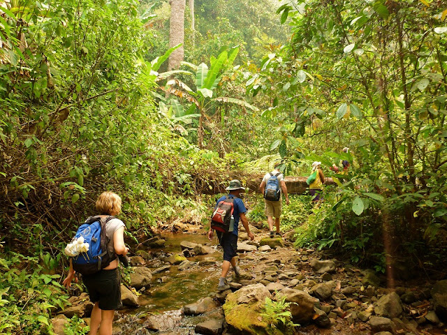 jungle-trekking-laos
