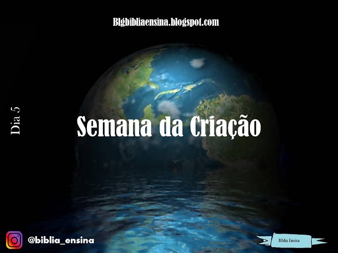 Semana da Criação- Dia 5