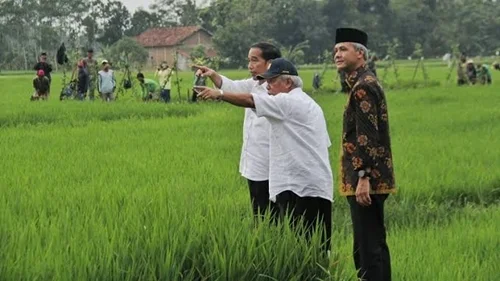 Ganjar Protes Pemerintah Impor Beras Saat Petani Akan Panen