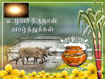 Image result for தமிழர் திருநாள் வாழ்த்துக்கள்