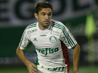 palmeiras