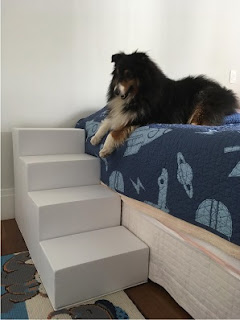 escadas para cães com lesões