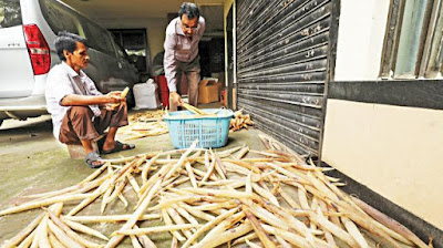 মাছের পটকা ও পাখনায় ভর করে আসছে টাকা