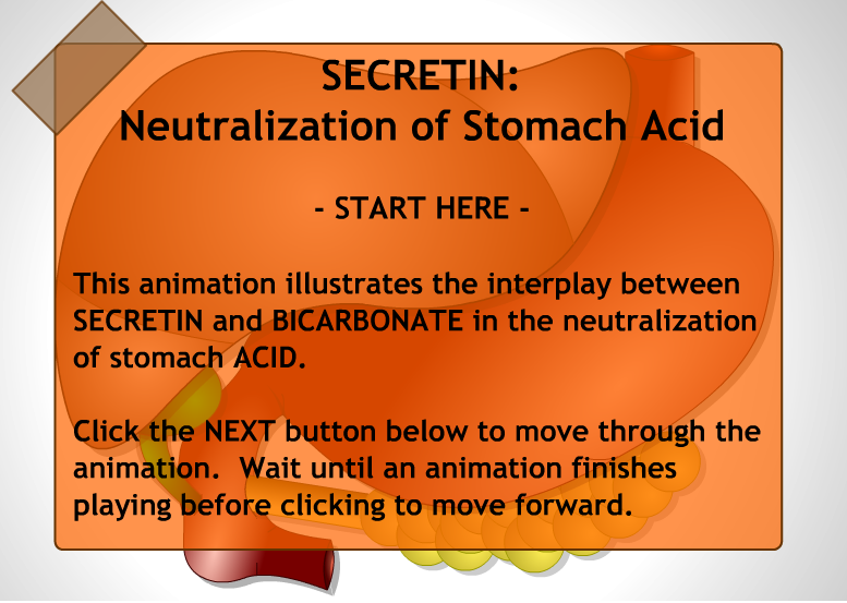 E-Learning: BIOLOGY-SECRETIN: NEUTRALIZATION OF STOMACH ACID