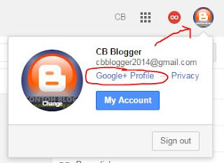 Google Plus ID