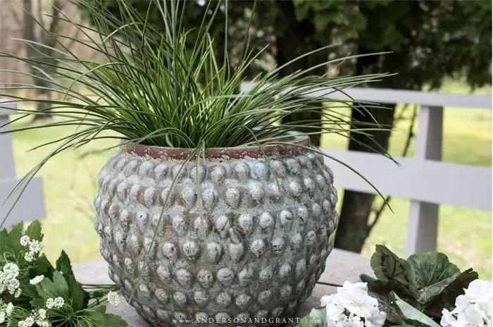 Blue pot with spiky green grass