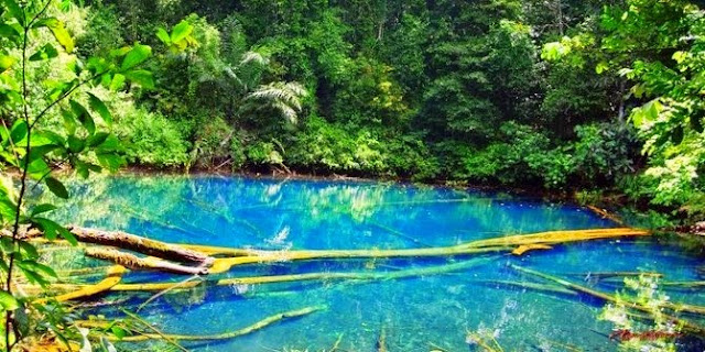 Wisata Danau Labuan Cermin Berau