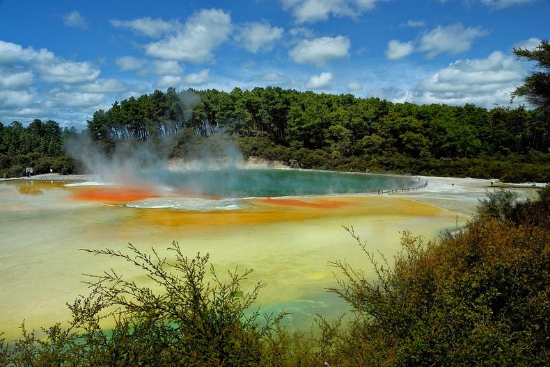 champagne-pool-7