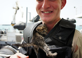 kucing dan tentara 1