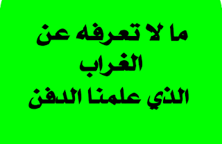 ما لا تعرفه عن الغراب الذي علمنا الدفن